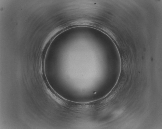 X0000074041131200608281438