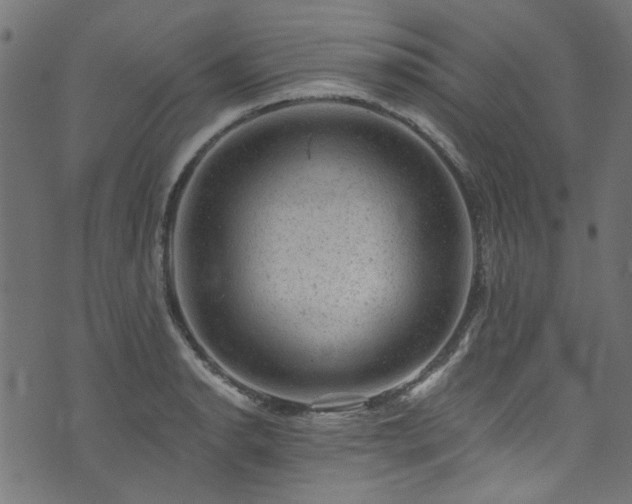 X0000074041134200608281438