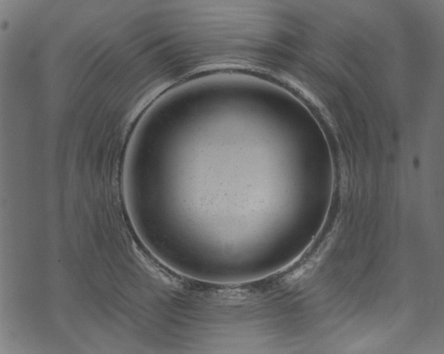 X0000074041137200608281438