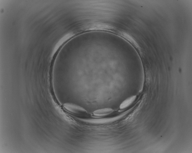 X0000074041138200608281438