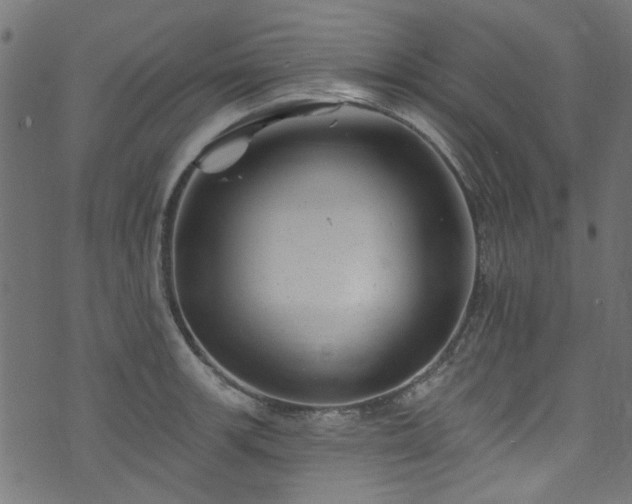 X0000074041139200608281438