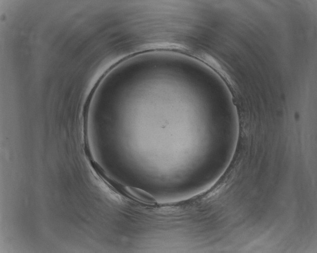 X0000074041140200608281438