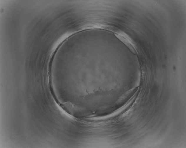 X0000074041143200608281438