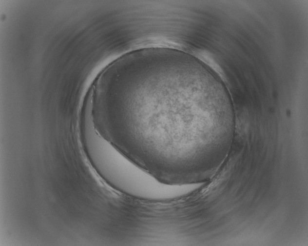 X0000074041144200608281438