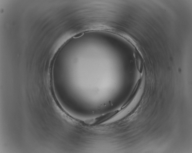 X0000074041147200608281438