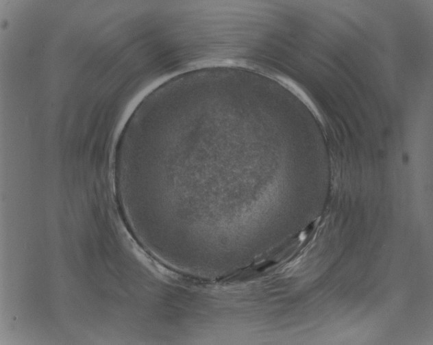 X0000074041148200608281438