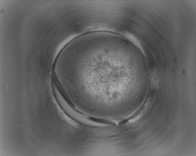 X0000074041149200608281438