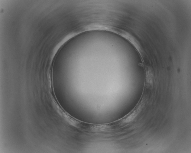 X0000074041150200608281438