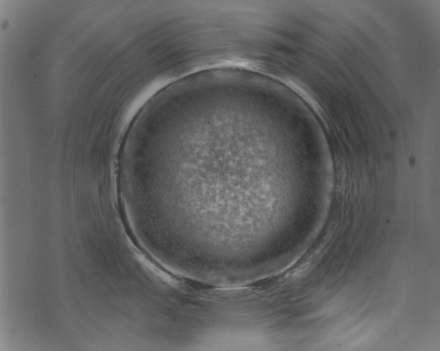 X0000074041151200608281438