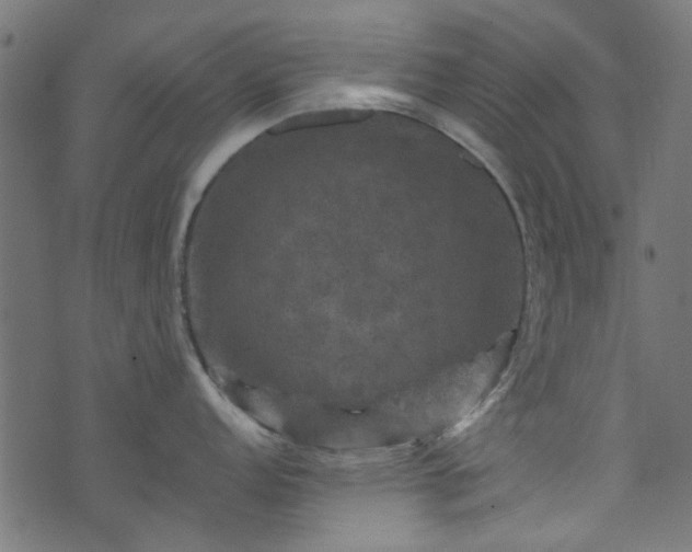 X0000074041152200608281438