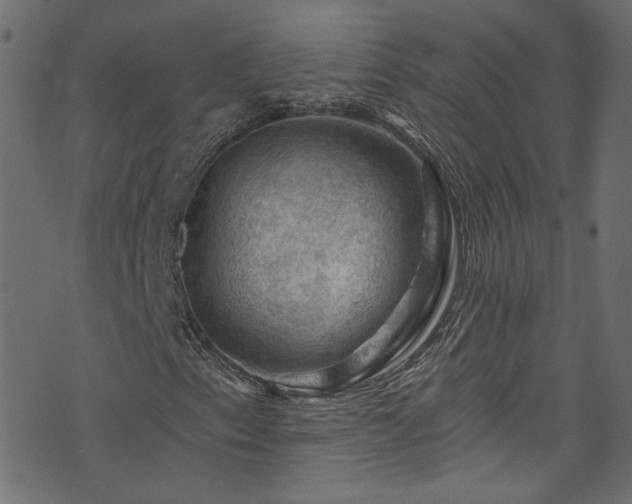 X0000074041153200608281437