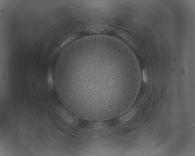 X0000074041155200608281437