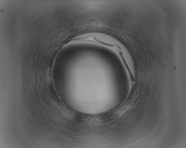 X0000074041156200608281437