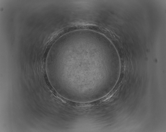 X0000074041157200608281437