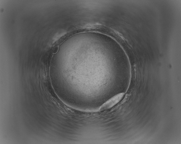 X0000074041158200608281437