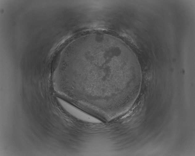 X0000074041159200608281437