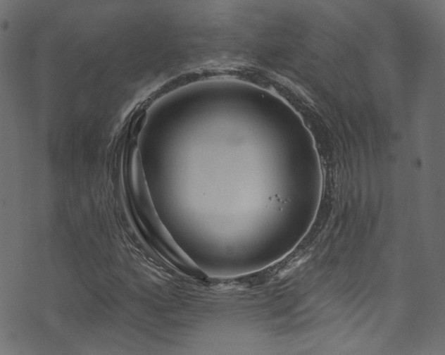 X0000074041160200608281437