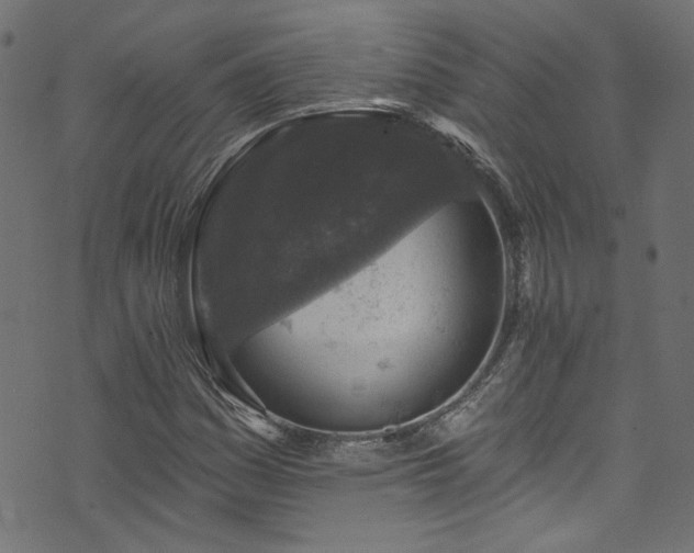 X0000074041161200608281437