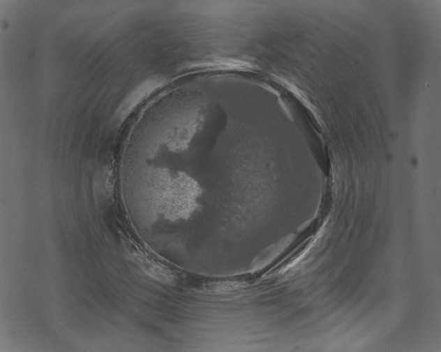 X0000074041163200608281437