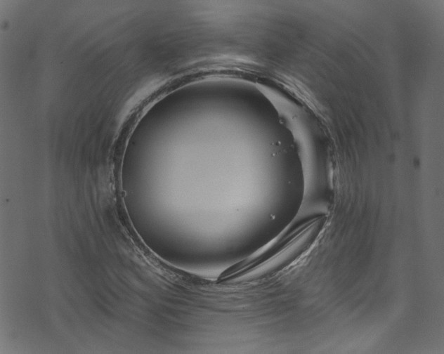 X0000074041164200608281437