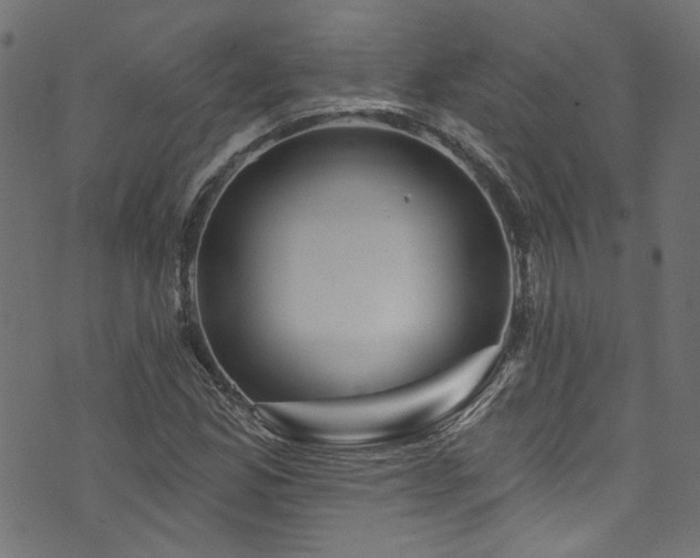 X0000074041165200608281437