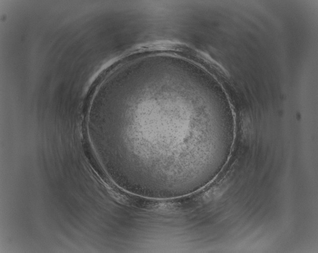 X0000074041166200608281437