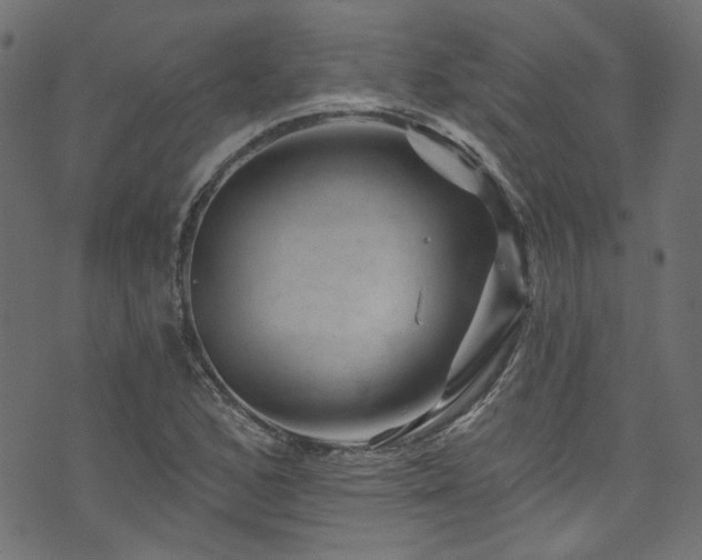 X0000074041168200608281437