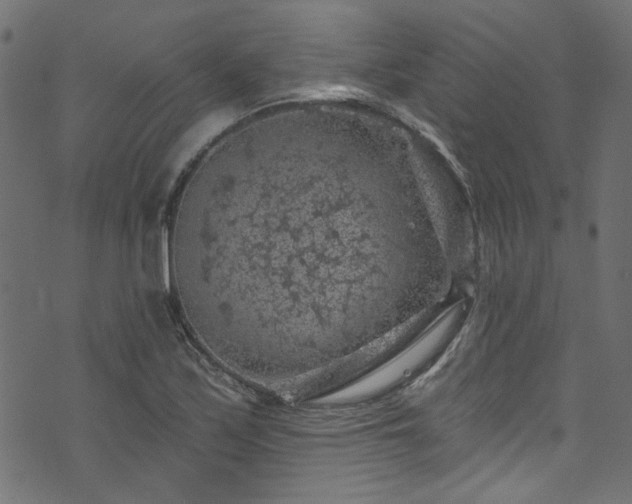 X0000074041171200608281437