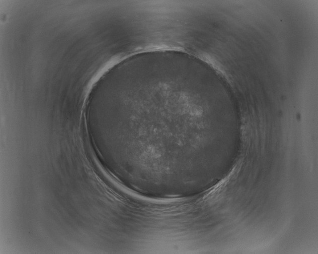 X0000074041173200608281437