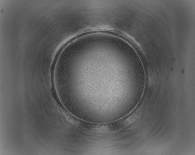 X0000074041174200608281437