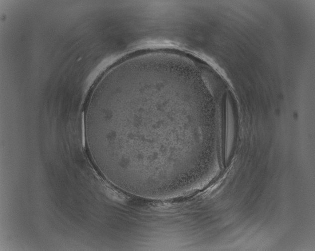 X0000074041175200608281437