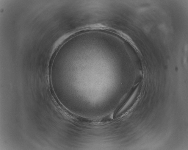 X0000074041176200608281437