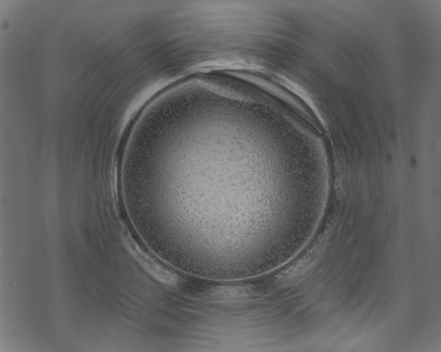 X0000074041179200608281437