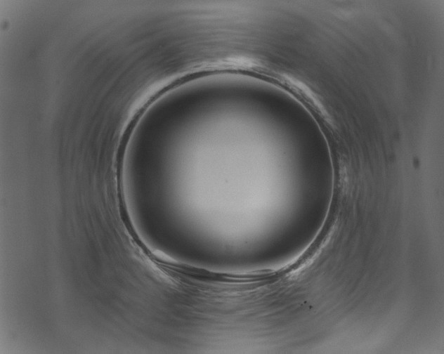 X0000074041184200608281437