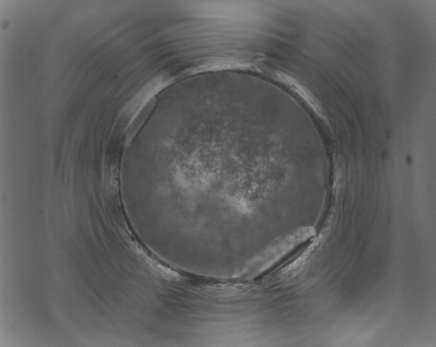 X0000074041185200608281437