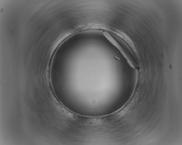 X0000074041190200608281437