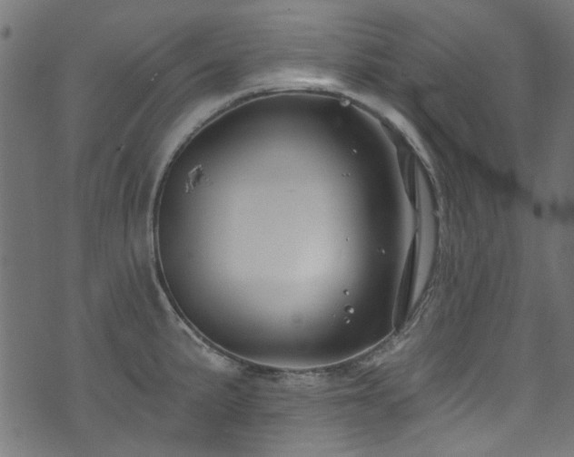 X0000074041191200608281437