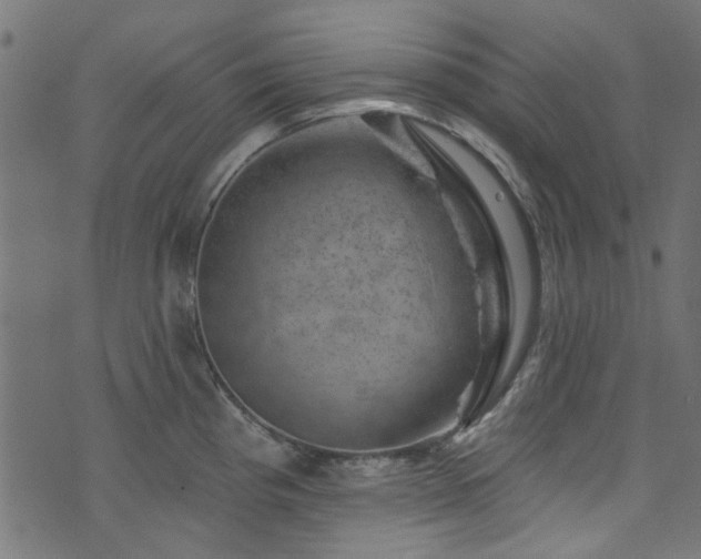 X0000074041193200608281437