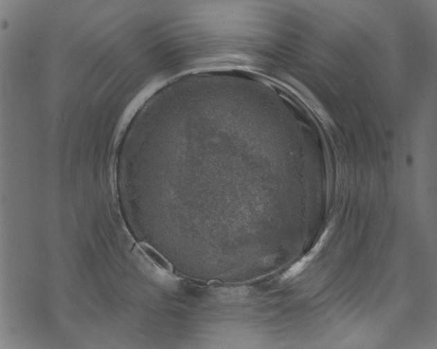 X0000074041196200608281437