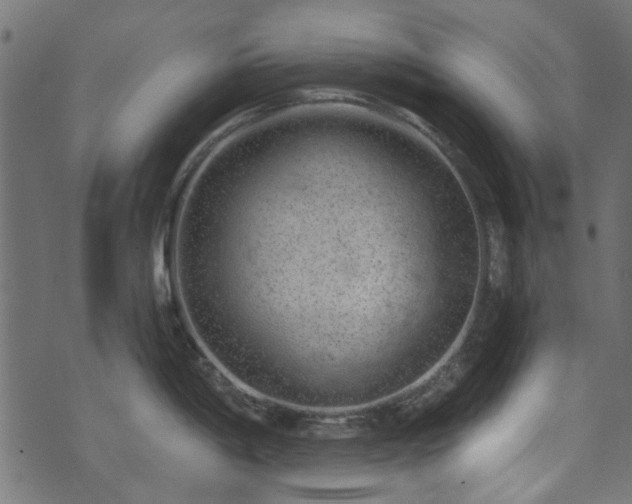 X0000074041198200608281437