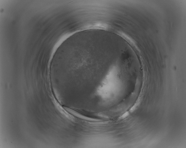 X0000074041200200608281437