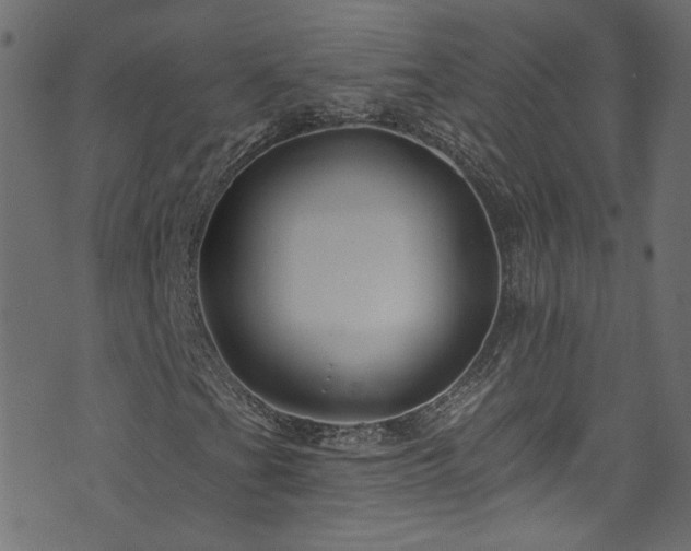 X0000074041201200608281436