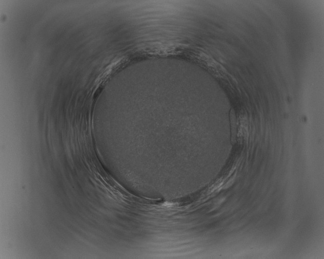 X0000074041202200608281436