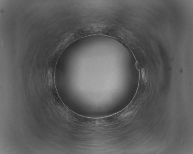 X0000074041203200608281436