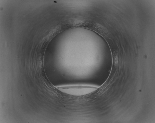 X0000074041204200608281436