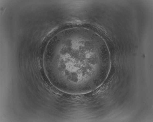 X0000074041205200608281436