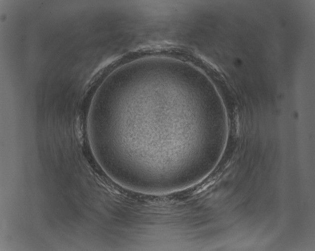 X0000074041206200608281436