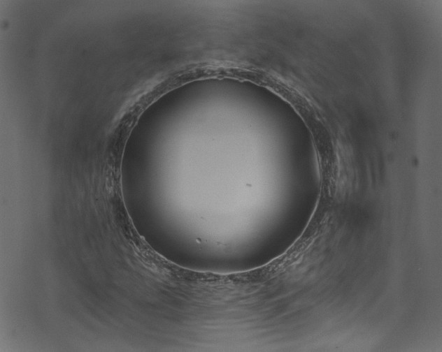 X0000074041207200608281436