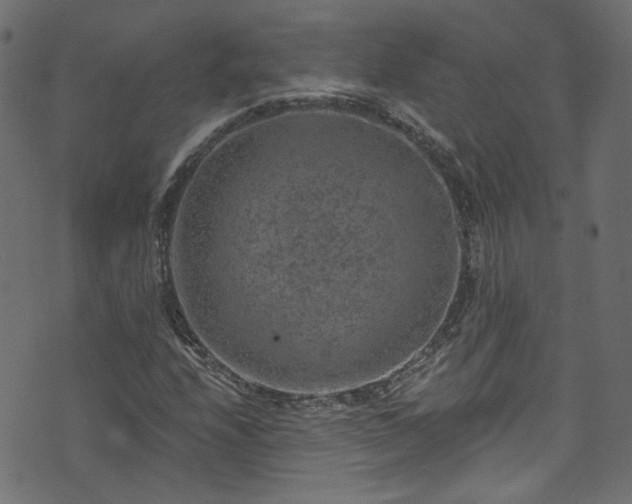 X0000074041208200608281436