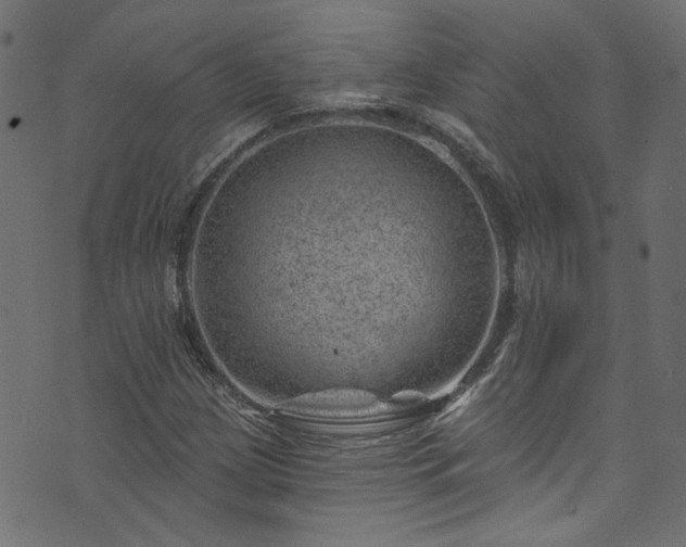 X0000074041209200608281436